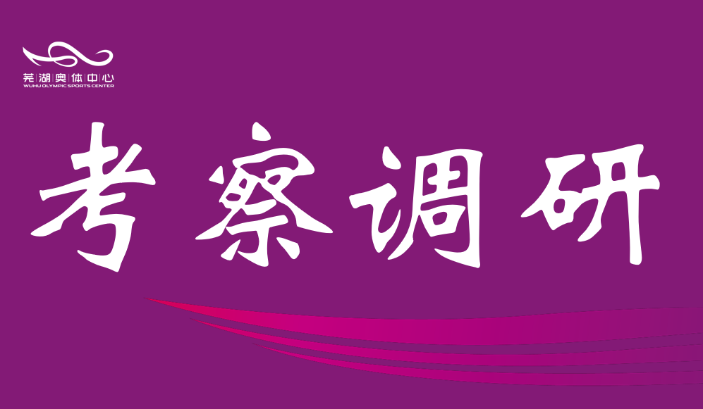 芜湖市政协调研彩神v中心